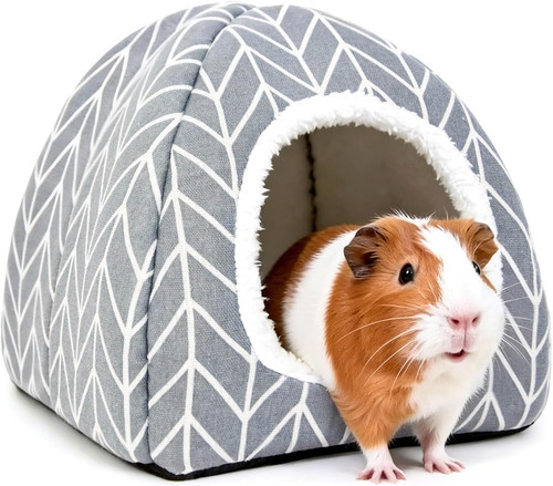 Guinea pig hideout - pig, dwarf