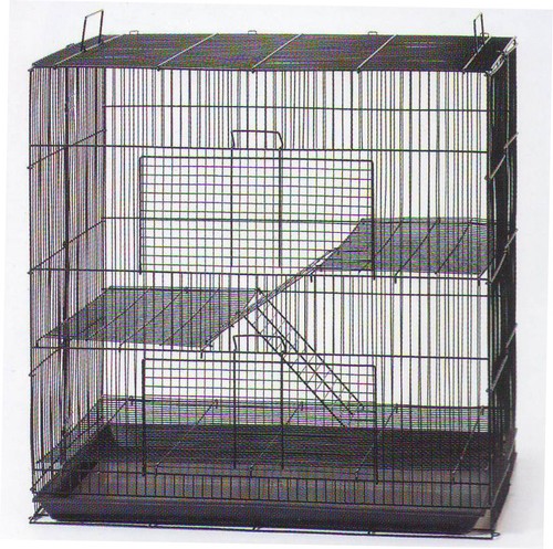 New chinchilla guinea pig rat - new,